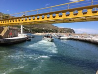 img_1420.jpg